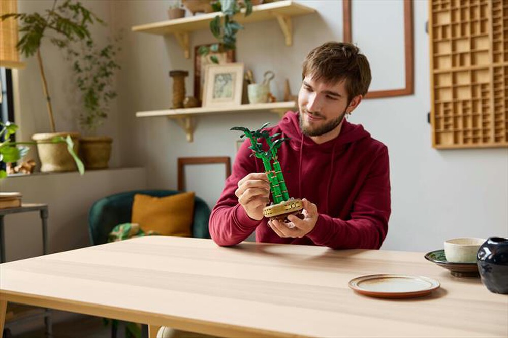 Immagine del prodotto LEGO - BOTANICALS Bamb&ugrave; del buon auspicio 10344