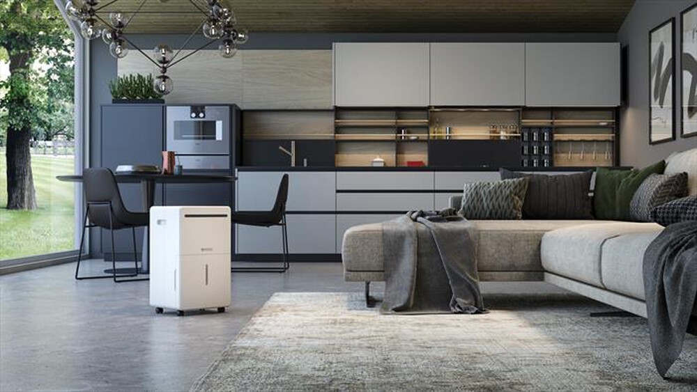 Immagine del prodotto OLIMPIA SPLENDID - Deumidificatore AQUARIA S2 24 NW-Bianco / Antracite
