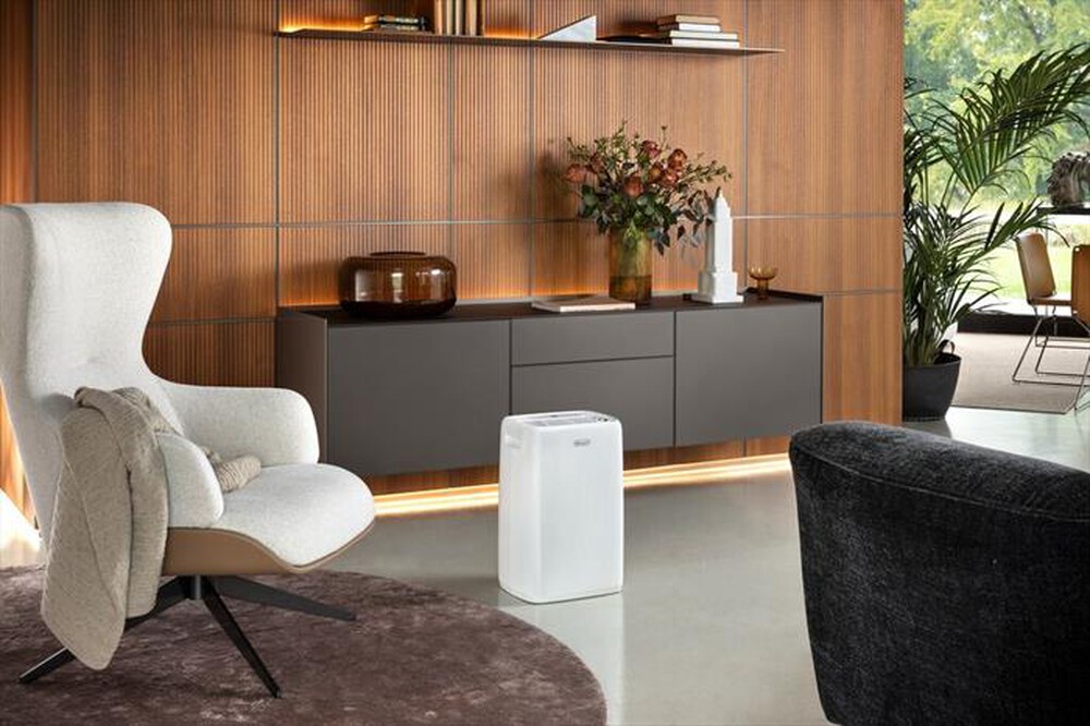 Immagine del prodotto DE LONGHI - Deumidificatore Tasciugo DEP210-Bianco