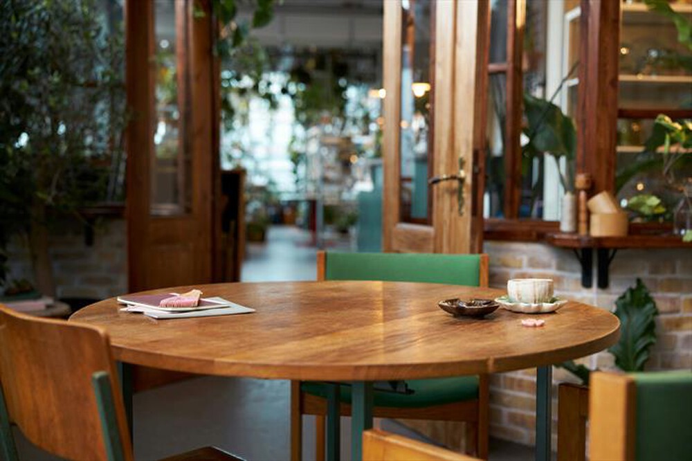 Immagine del prodotto LEGO - ICONS Il Giardino Tranquillo 10315