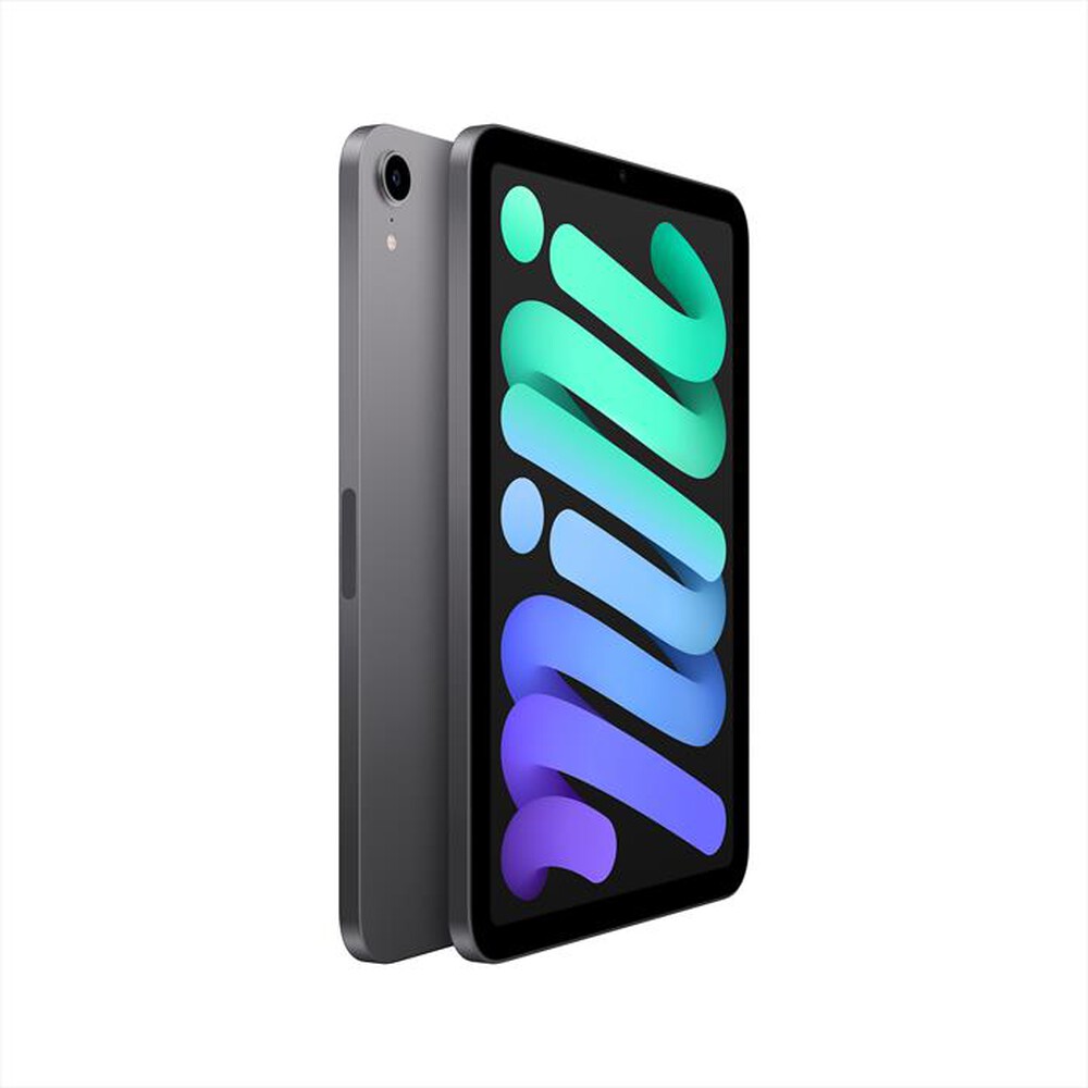 Immagine del prodotto APPLE - iPad mini Wi-Fi 64GB-Space Grey