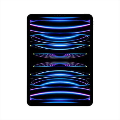 APPLE - iPad Pro 11" WI-FI 256GB-Argento