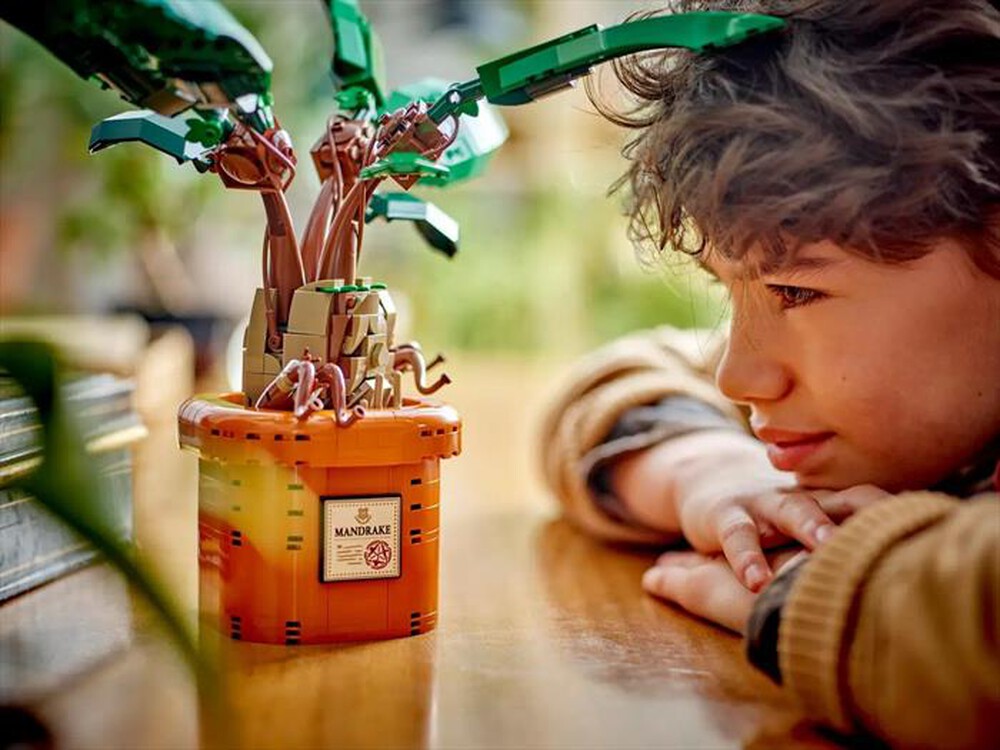 "LEGO - Mandragola - 76433-Multicolore"