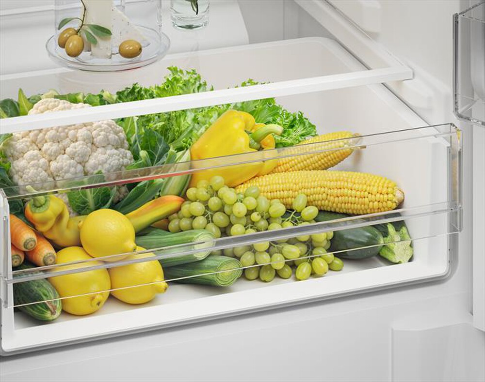 Immagine del prodotto ELECTROLUX - Frigorifero combinato LNN3CE18S Classe E 253lt-Bianco
