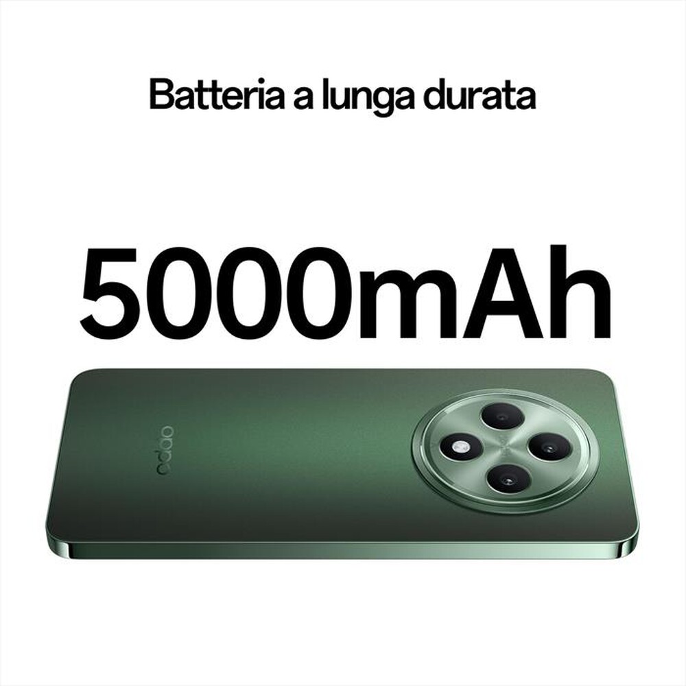"OPPO - RENO12 F 5G 8+256-Black Green"
