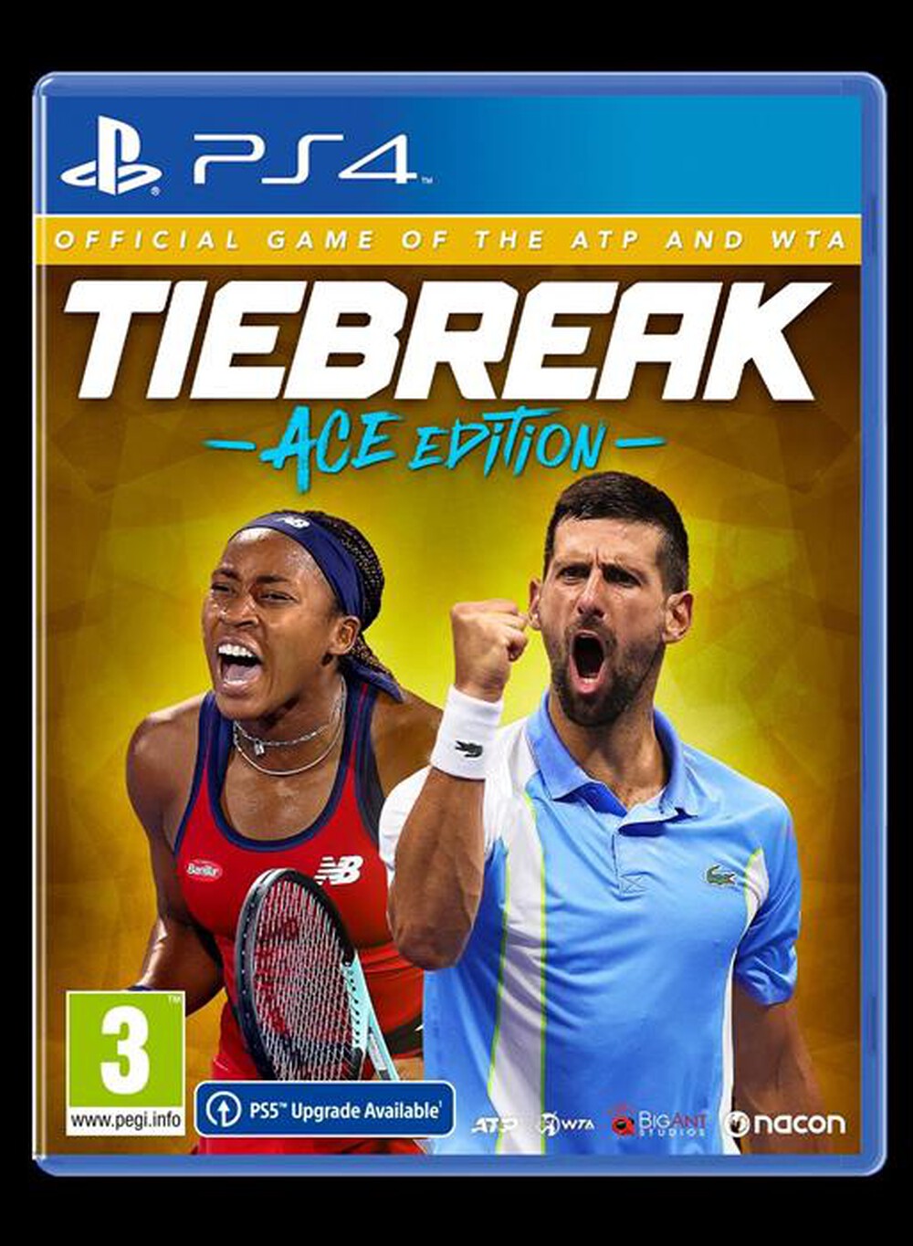 Immagine del prodotto NACON - TIEBREAK: OFFICIAL GAME OF THE ATP AND WTA PS4-Multicolore