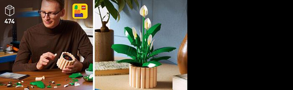 Immagine del prodotto LEGO - BOTANICALS Spatifillo - 11504