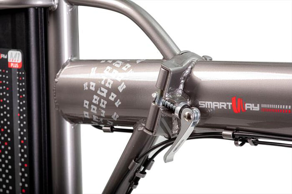 "SMARTWAY - Fat bike SMWM1PLUS-21-Titanio"