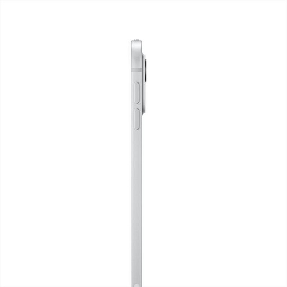 "APPLE - iPad Pro 11'' Wi-Fi + Cellular 2TB Standard glass-Argento"