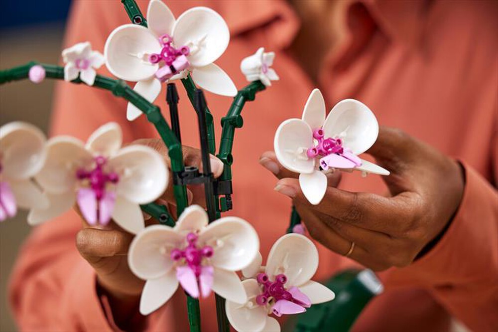 Immagine del prodotto LEGO - BOTANICALS Orchidea 10311