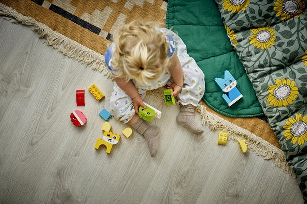 Immagine del prodotto LEGO - DUPLO Animali domestici creativi 3 in 1 - 10477