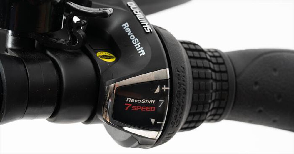 "NILOX - Fat bike 30NXEB20V002V4-sabbia"