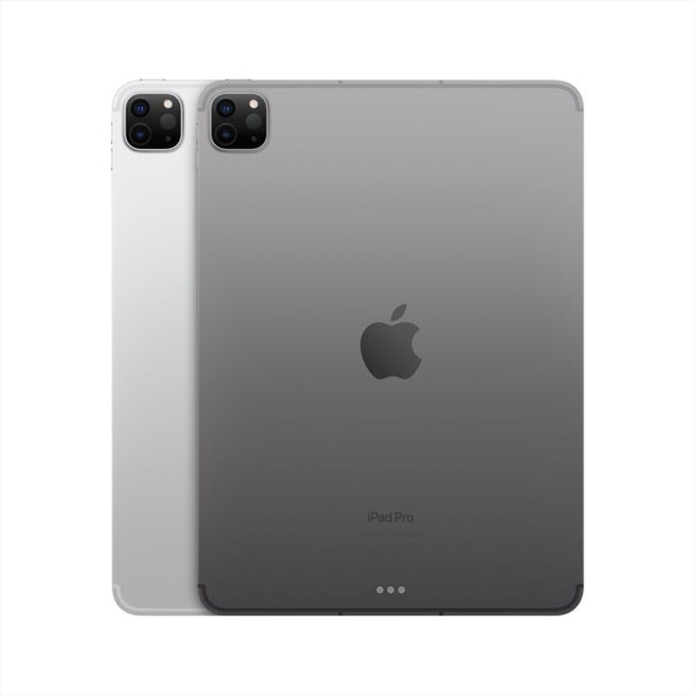 "APPLE - iPad Pro 11\" WI-FI + CELLULAR 256GB-Grigio Spaziale"
