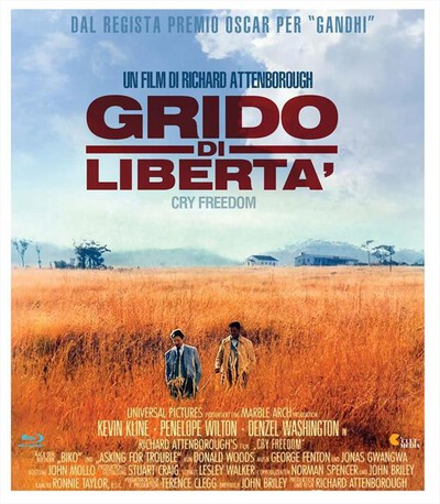 CULT MEDIA - Grido Di Liberta'