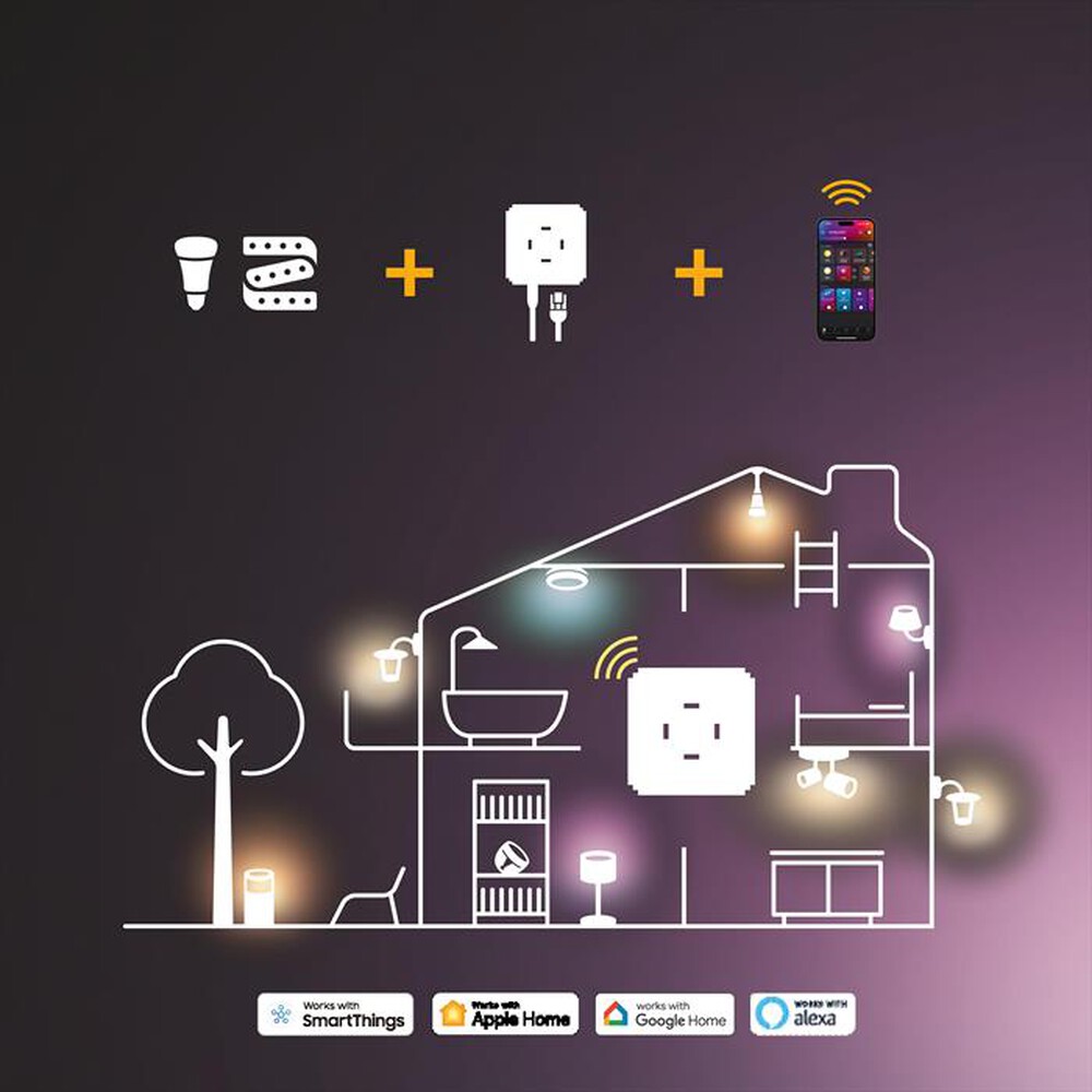 Immagine del prodotto PHILIPS - HUE FESTAVIA STRINGA LUCI COLOR 250LEDS 20M-Multicolore