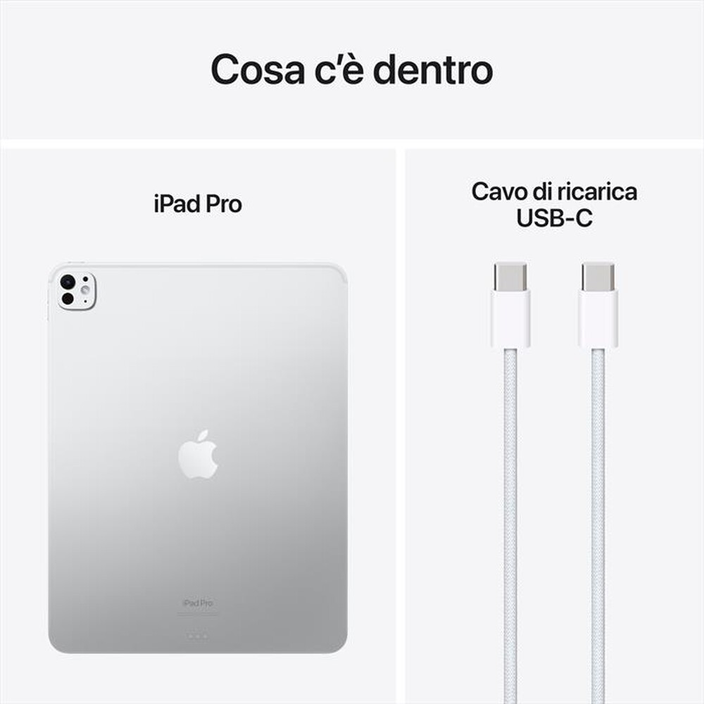 "APPLE - iPad Pro 13'' Wi-Fi 1TB Nano-texture Glass-Argento"