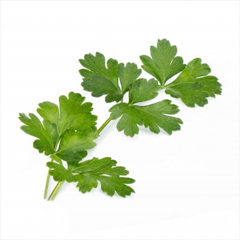 "VERITABLE - Lingots - Prezzemolo Italiano Bio"