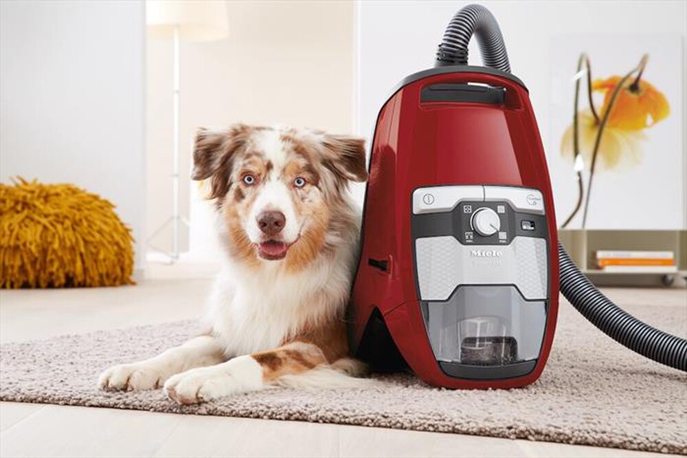 "MIELE - Aspirapolvere a traino CX1 CAT&DOG POW-Rosso mango"