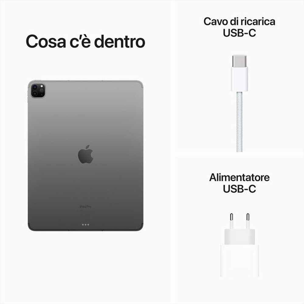 "APPLE - iPad Pro 12,9\" WIFI + CELLULAR 256GB-Grigio Spaziale"