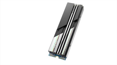 NETAC - SSD M.2 2280 NVME NV5000 1TB Comp. PS5-NERO