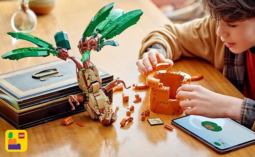Immagine del prodotto LEGO - Harry Potter Calendario dell&rsquo;Avvento 2024 - 76438