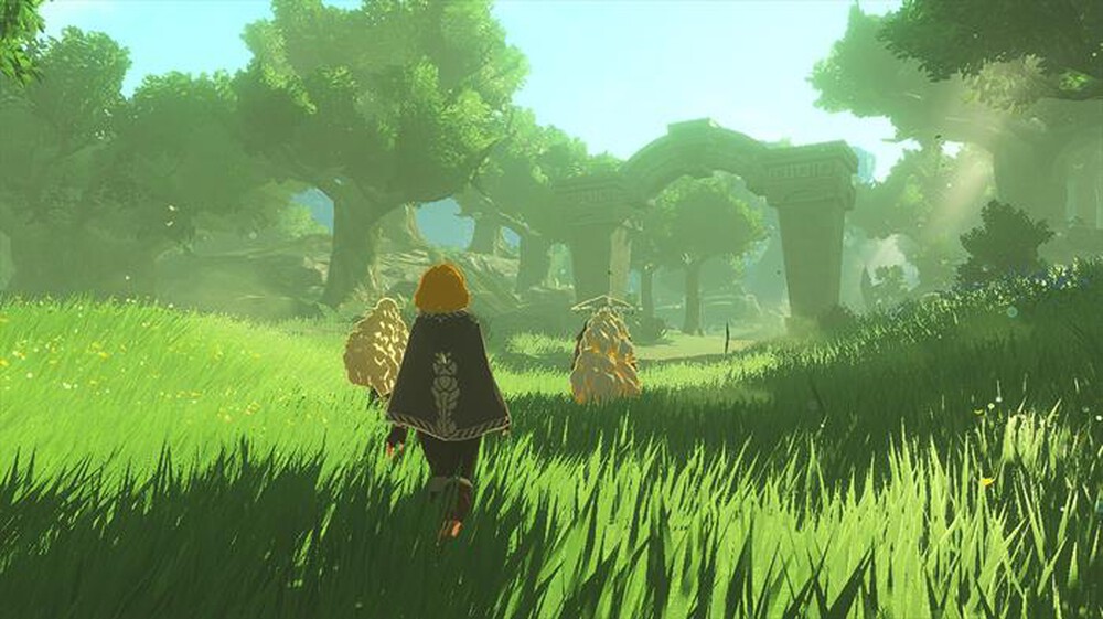 Immagine del prodotto NINTENDO - HYRULE WARRIORS: L'ERA DELL'ESILIO - COD. DOWNLOAD