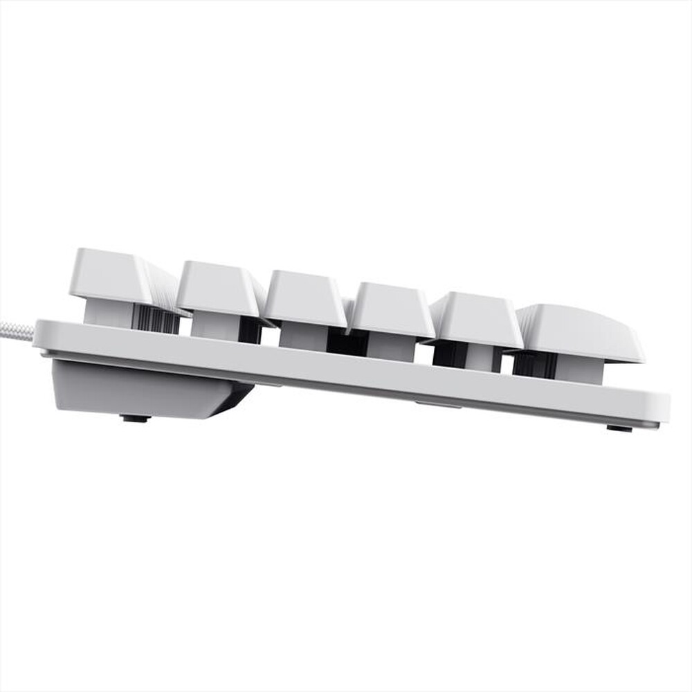 Immagine del prodotto TRUST - Tastiera illuminata GXT 833 Thado TKL-White