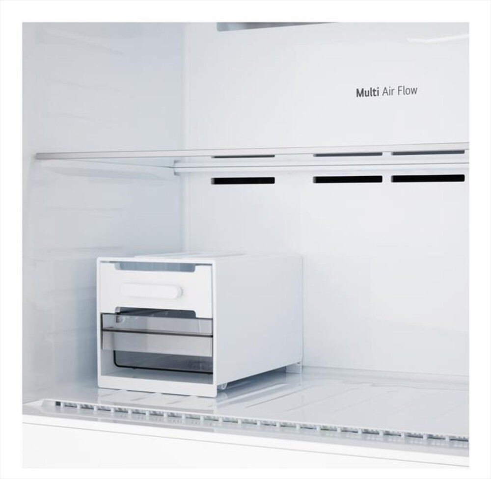 Immagine del prodotto LG - Frigorifero 2 porte GTFV61PYBQD Classe E 609lt-Argento