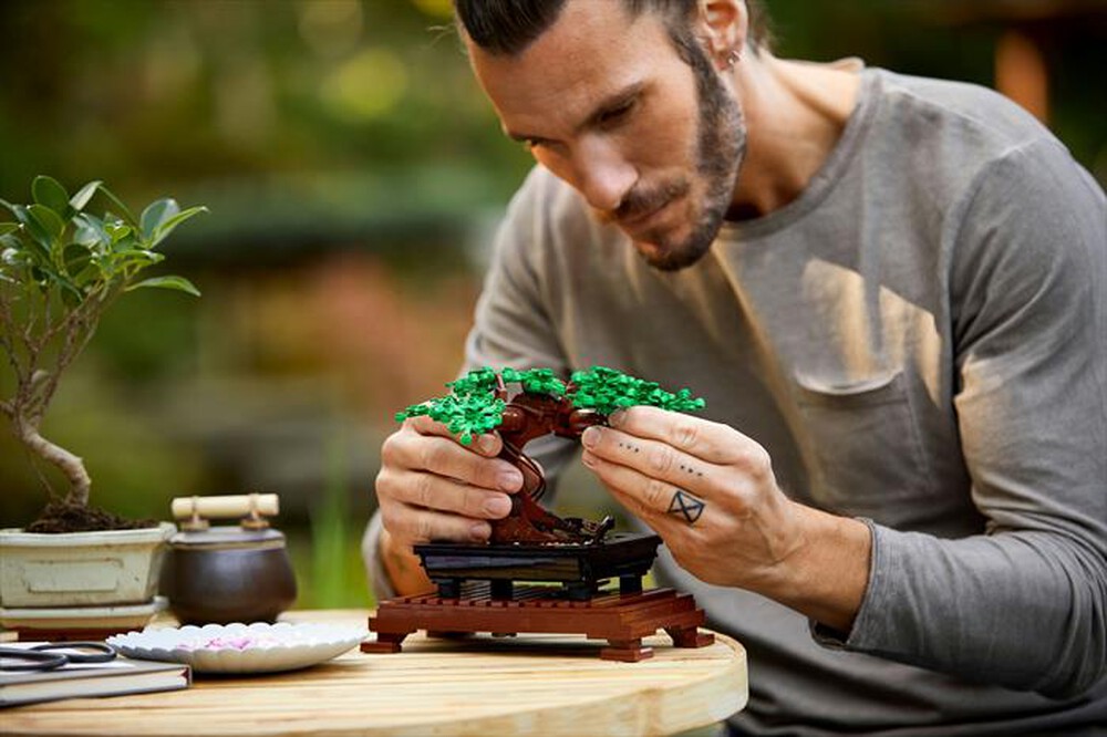 Immagine del prodotto LEGO - BOTANICALS Albero Bonsai 10281