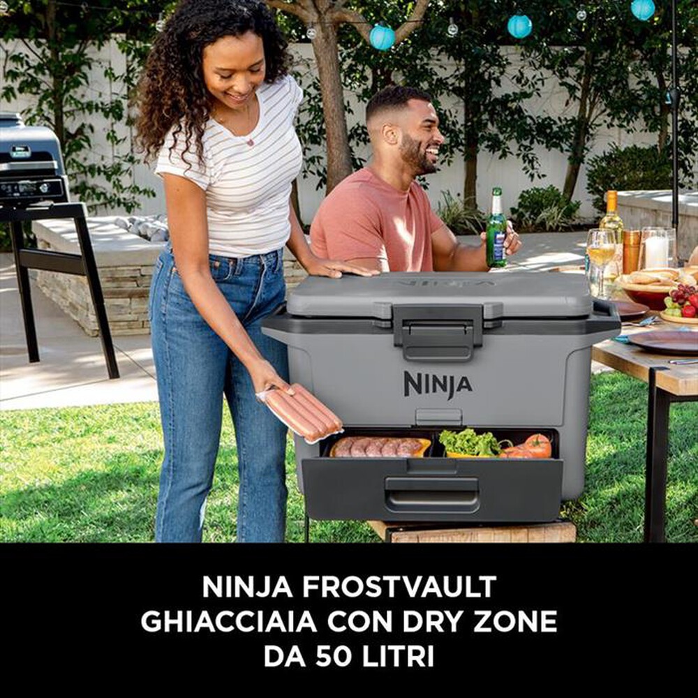 "NINJA - FRIGO PORTATILE FROSTVAULT 47LT-Grigio"