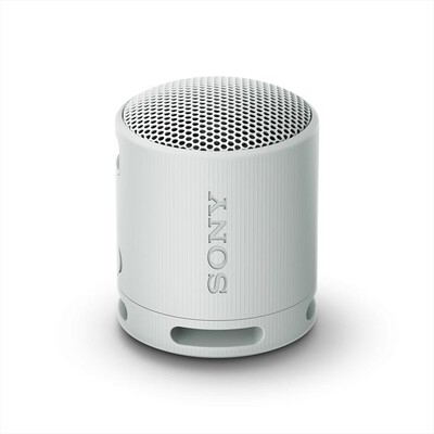 SONY - Speaker SRSXB100H.CE7-Grigio