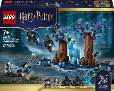 LEGO - HARRY POTTER Foresta Proibita: Expecto - 76475