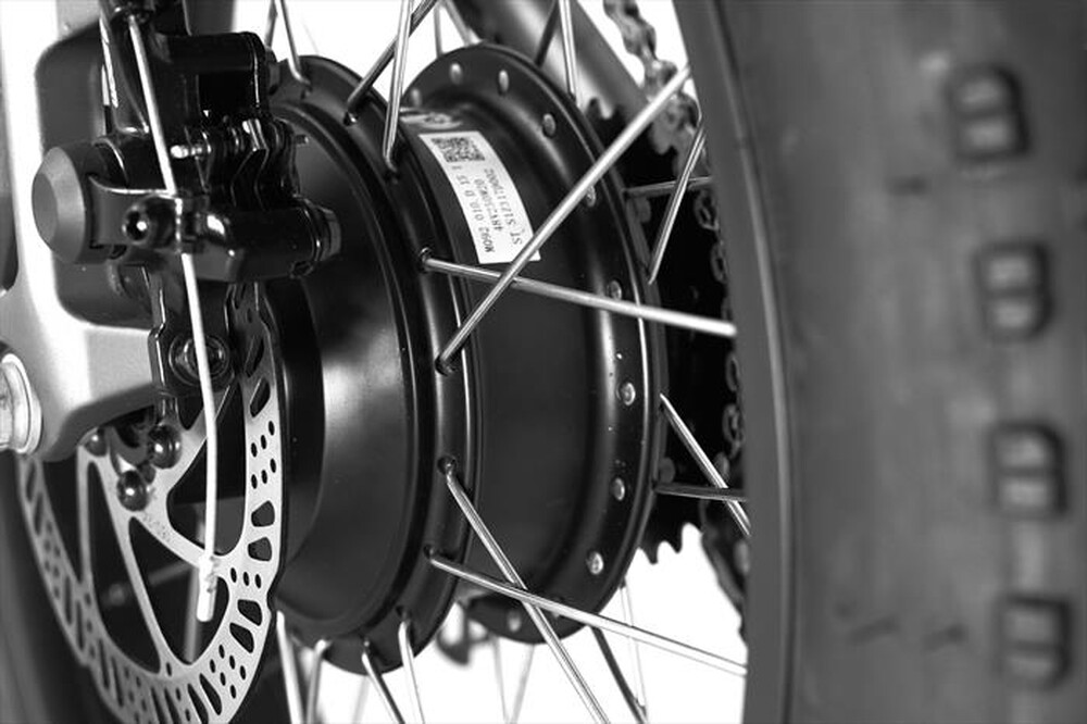 Immagine del prodotto SMARTWAY - Fat bike 20" 48V-Line M6R548ALT-Matt Titanium