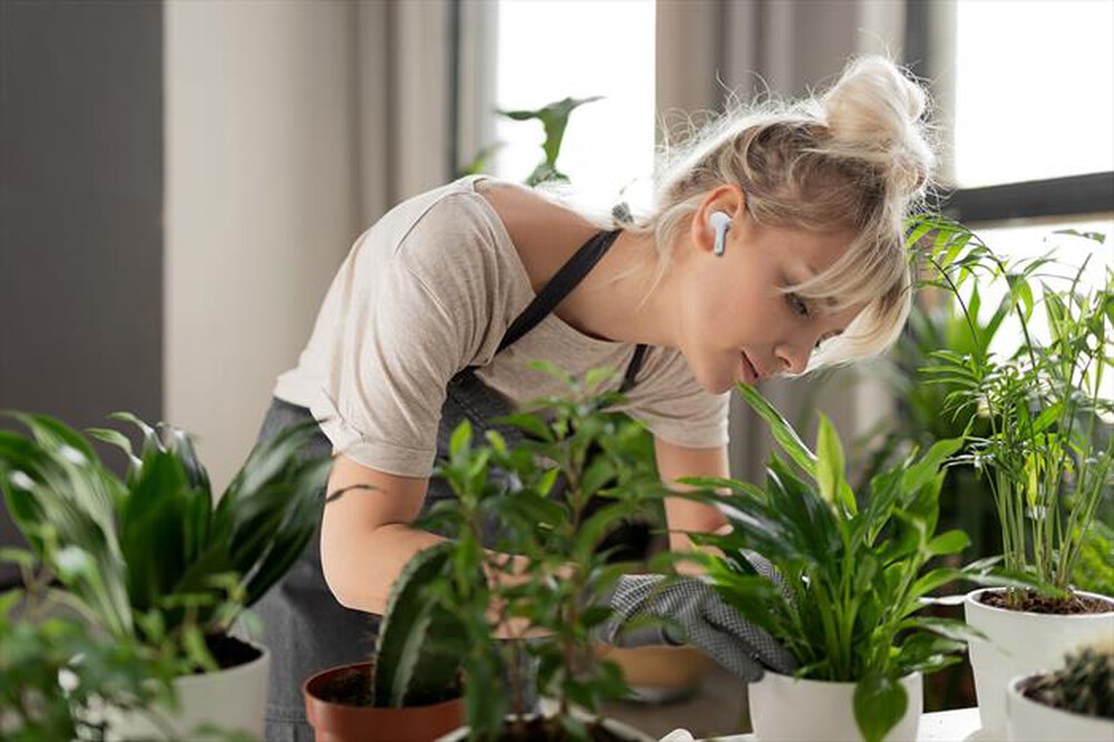 Immagine del prodotto JVC - HA-A8T-bianco