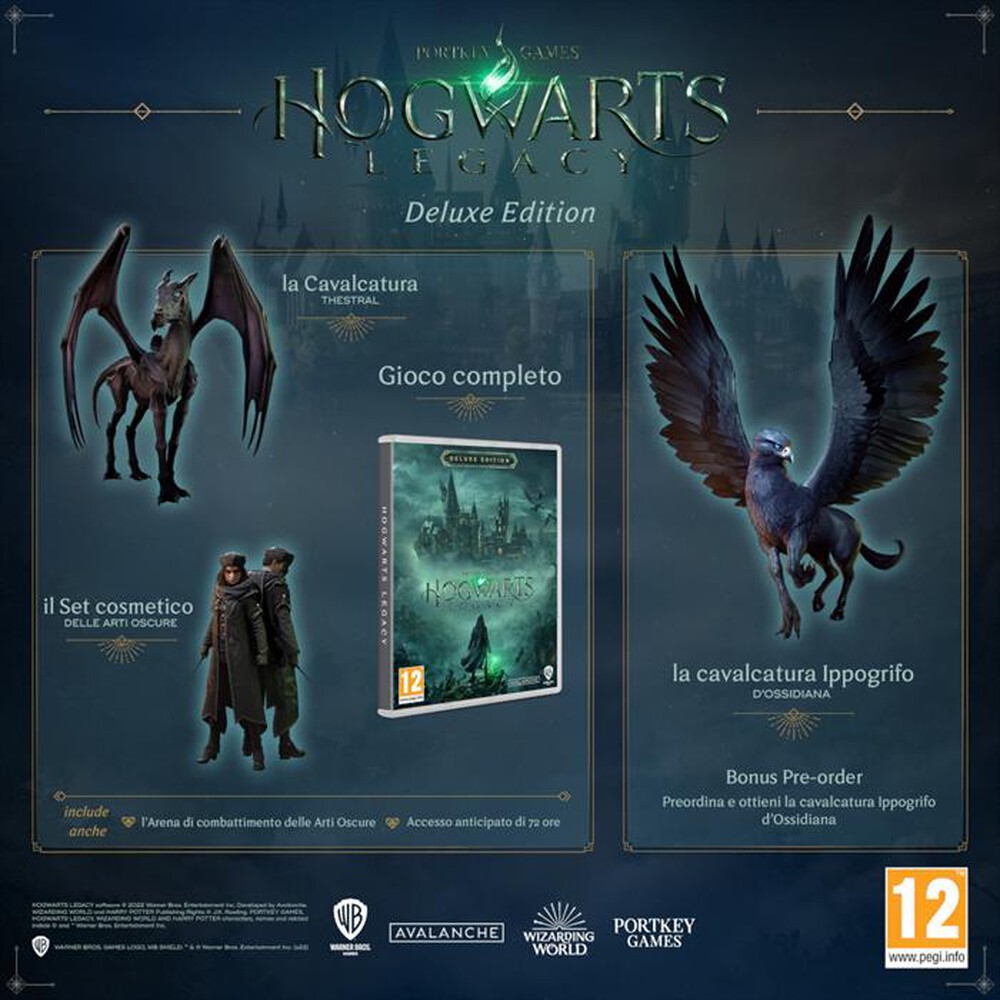 "WARNER GAMES - HOGWARTS LEGACY – DELUXE EDITION SWITCH"