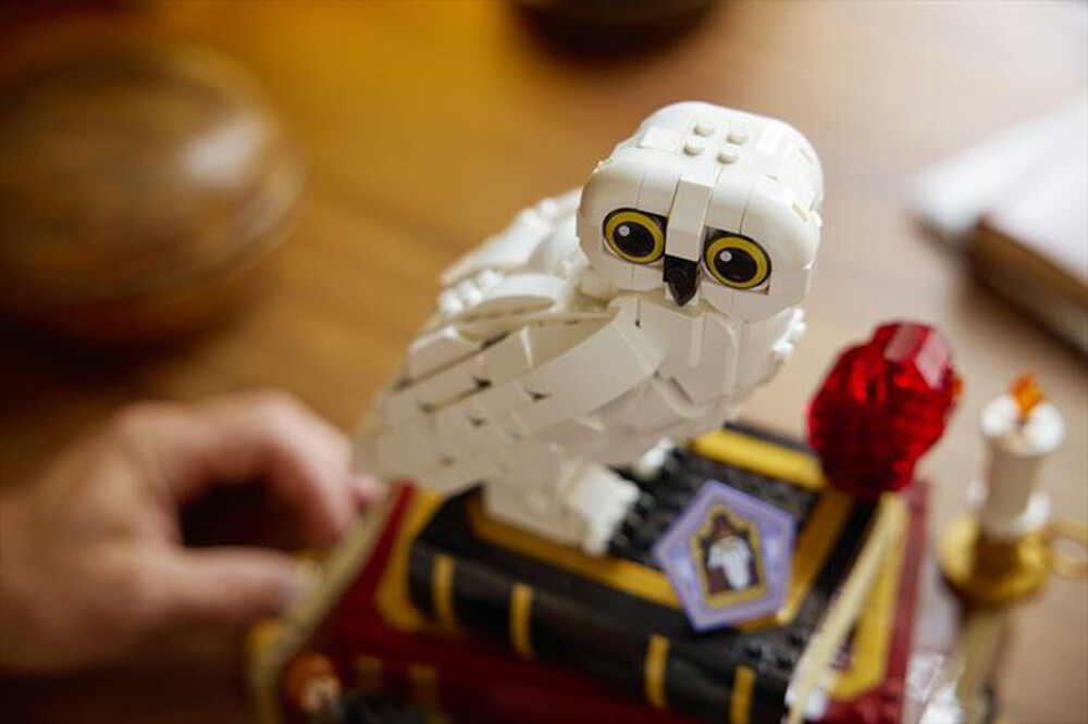 Immagine del prodotto LEGO - HARRY POTTER Pietra filosofale - 76466-Multicolore