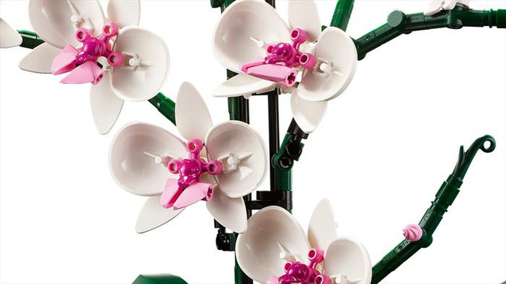Immagine del prodotto LEGO - BOTANICALS Orchidea 10311