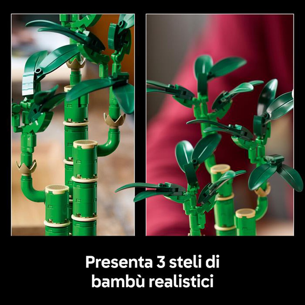 Immagine del prodotto LEGO - BOTANICALS Bamb&ugrave; del buon auspicio 10344