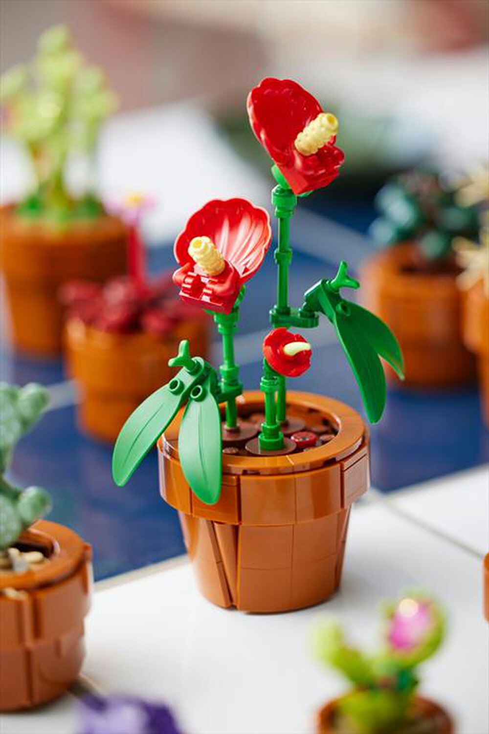 Immagine del prodotto LEGO - BOTANICALS Piantine 10329