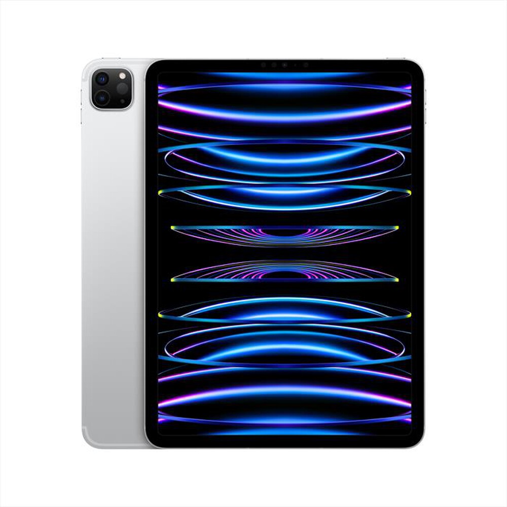 "APPLE - iPad Pro 11\" WI-FI + CELLULAR 512GB-Argento"