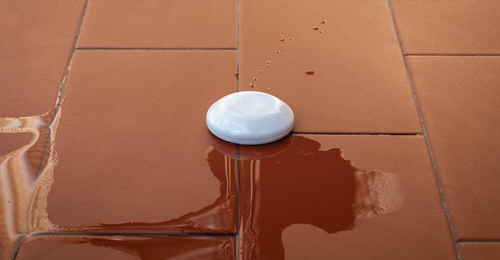 "SHELLY - Dispositivo per perdita liquida WiFi FLOOD-White"