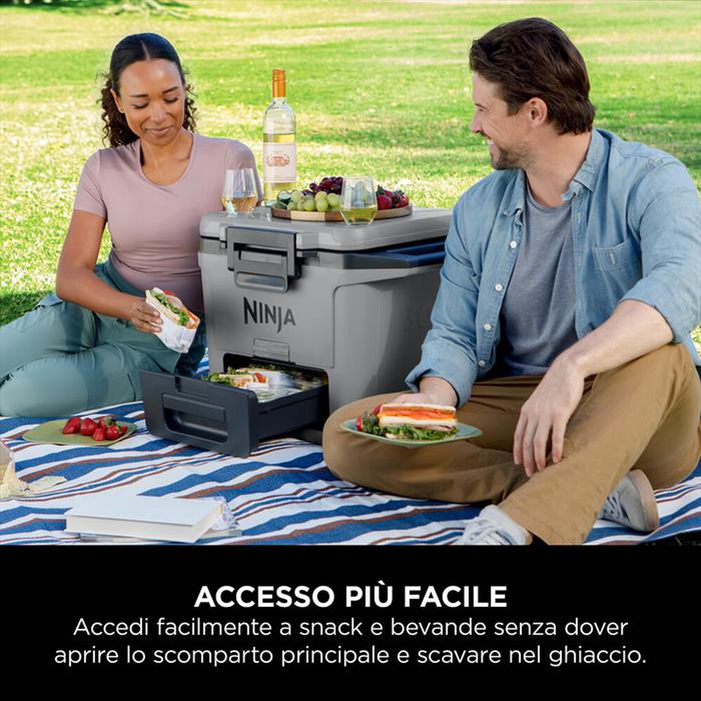 "NINJA - FRIGO PORTATILE FROSTVAULT 28LT-Grigio"