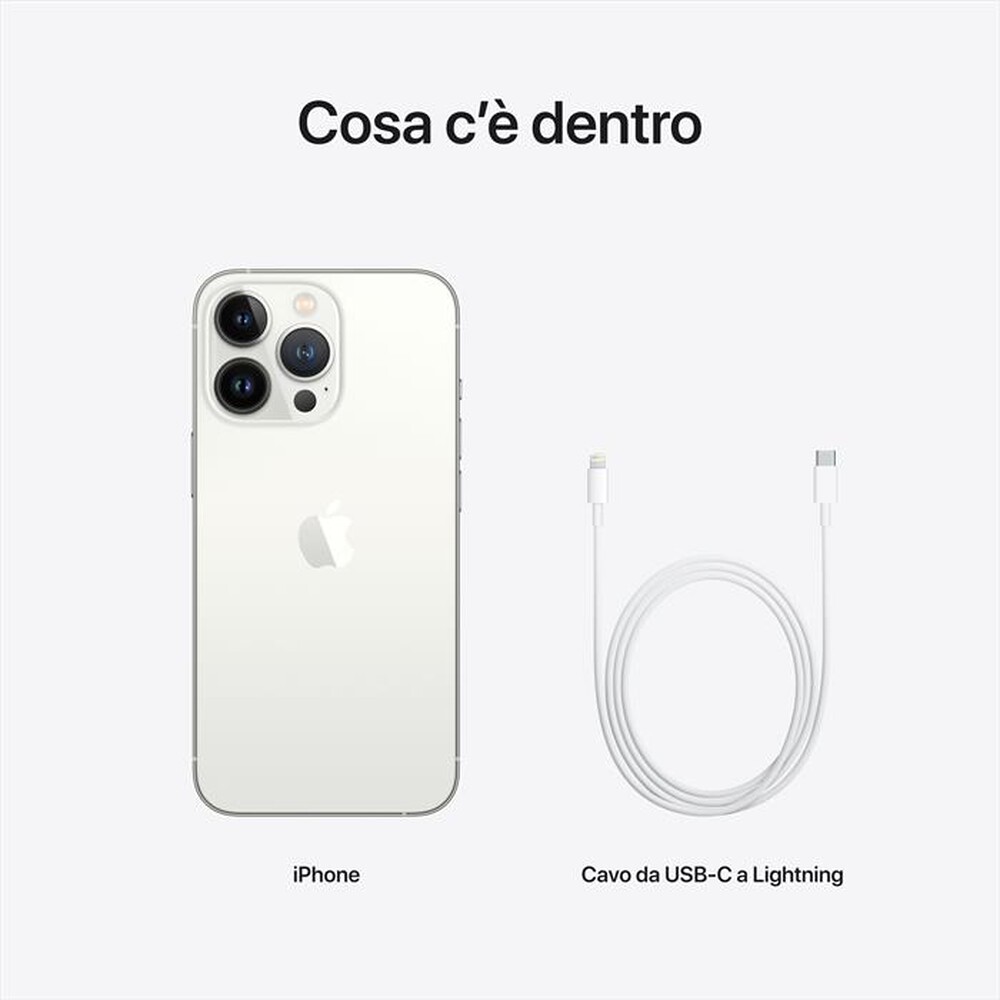 "APPLE - iPhone 13 Pro 1TB-Argento"