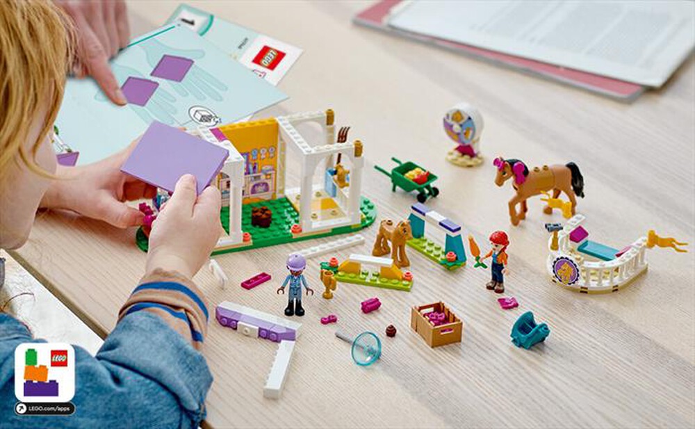 Immagine del prodotto LEGO - FRIENDS Addestramento equestre - 41746