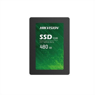 HIK VISION - Hard disk interno HS-SSD-C100 480G-NERO