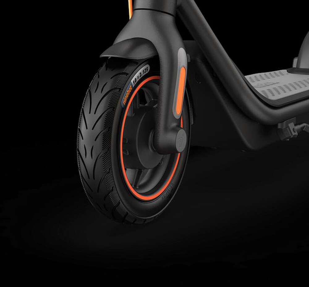 "SEGWAY - KickScooter F65I-DARK GREY"