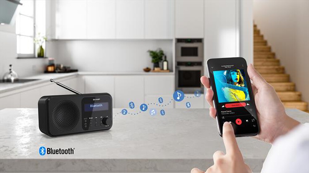 Immagine del prodotto SHARP - Radio FM DR-P420-Nero