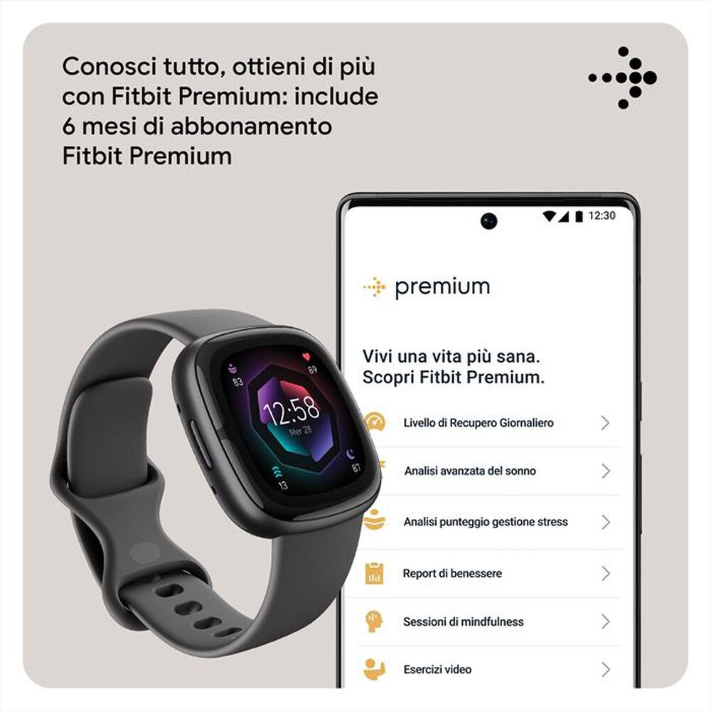 "FITBIT - SENSE 2 - FB521BKGB-GRAFITE/ALLUMINIO GRAF"