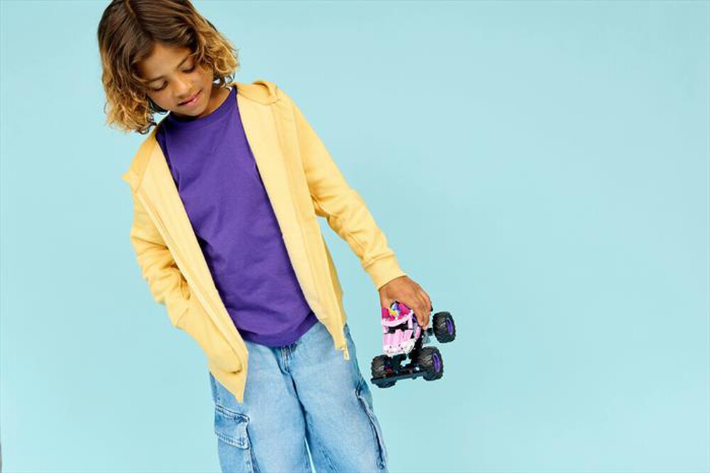 Immagine del prodotto LEGO - TECHNIC Monster Jam Sparkle Smash retrocarica42220