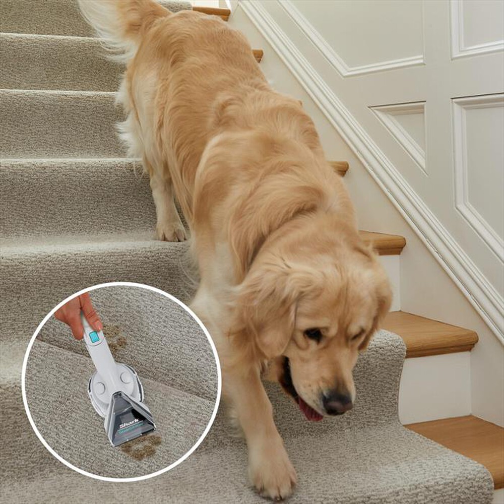 Immagine del prodotto SHARK - SMACCHIATORE SHARK STAINSTRIKER PX200EUT-Azzurro/Bianco